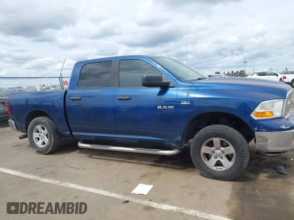 2009 Dodge 1500 SLT with VIN 1D3HV13T99S704450, listed as a IAAI auction lot 41976123 with Not provided miles and . Bid and sale history available at DreamBid. Image 13.