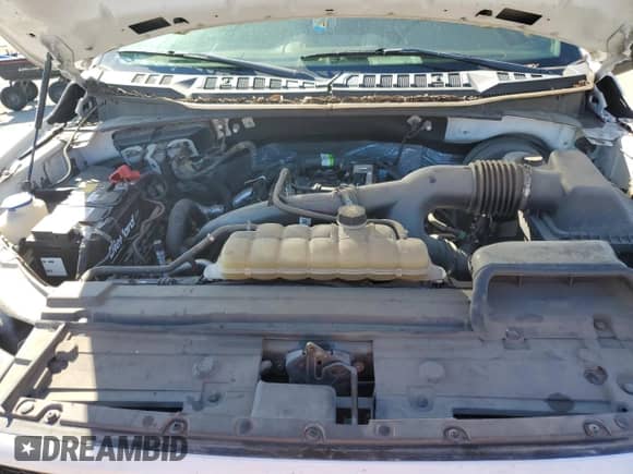 2019 Ford F-150 XL z VIN 1FTEW1CP3KKD55769, wystawiony jako Copart lot #89638715 z przebiegiem 114 318 mil mil oraz Szkoda całkowita • Salvage title. Historia ofert i sprzedaży dostępna na DreamBid. Obrazek 11.