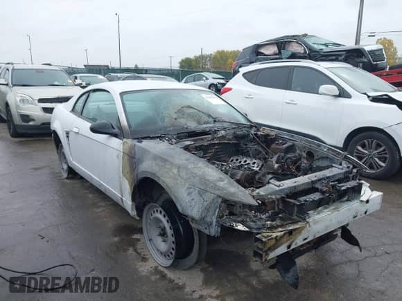 2004 Ford Mustang Standard with VIN 1FAFP40464F125870, listed as a IAAI auction lot 43501805 with Not provided miles and . Bid and sale history available at DreamBid. Image 1.