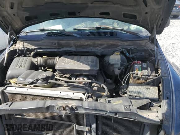 2002 Dodge 1500 z VIN 1D7HA16N72J236592, wystawiony jako Copart lot #84452795 z przebiegiem 358 647 mil mil oraz Szkoda całkowita • Salvage title. Historia ofert i sprzedaży dostępna na DreamBid. Obrazek 11.