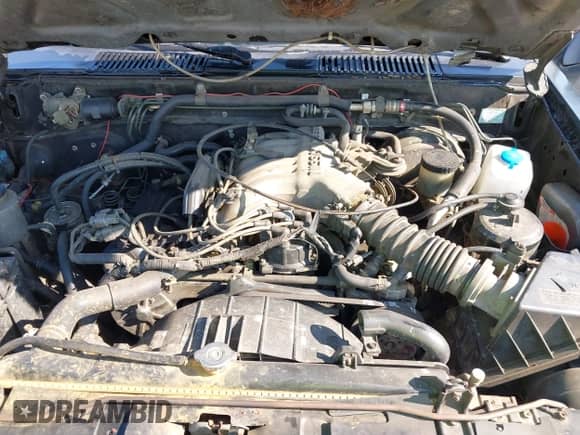 1995 Nissan Pathfinder LE with VIN JN8HD17S0SW004848, listed as a IAAI auction lot 42953016 with 321,092 mi miles and . Bid and sale history available at DreamBid. Image 10.