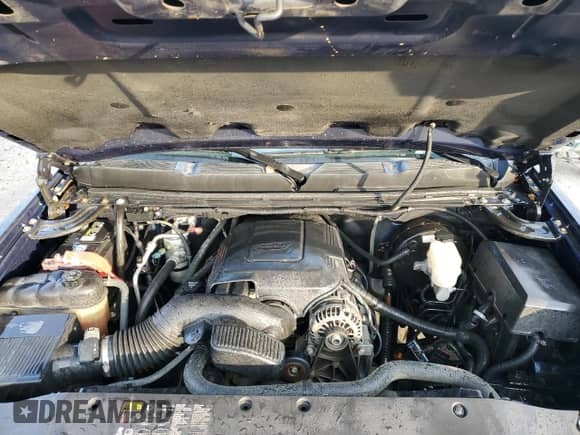 2009 Chevrolet Silverado 1500 LT with VIN 1GCEC29019Z257298, listed as a Copart auction lot 80646875 with 225,324 mi miles and Non repairable. Bid and sale history available at DreamBid. Image 11.