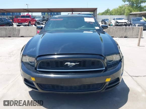 2014 Ford Mustang Premium с VIN 1ZVBP8AM9E5295367, выставлен на аукционе IAAI как лот 42876557 с пробегом 108 180 миль миль и . История ставок и продаж доступна на DreamBid. Изображение 12.