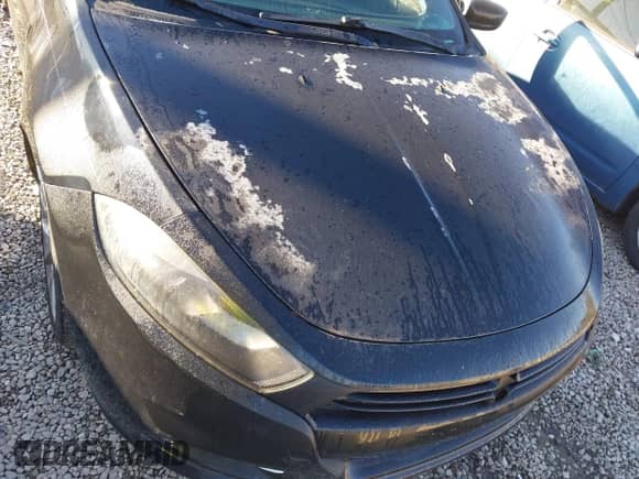 2013 Dodge Dart SXT with VIN 1C3CDFBA2DD241815, listed as a IAAI auction lot 43498295 with 137,432 mi miles and . Bid and sale history available at DreamBid. Image 6.