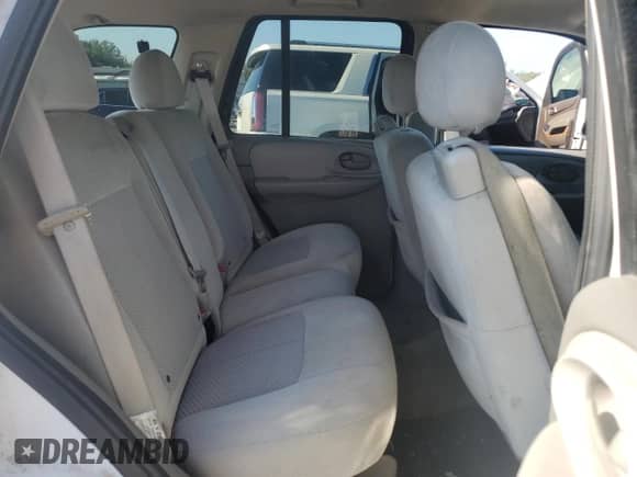 2009 Chevrolet TrailBlazer 1LT z VIN 1GNDT33S092116542, wystawiony jako Copart lot #60866784 z przebiegiem 254 686 mil mil oraz Szkoda całkowita • Salvage title. Historia ofert i sprzedaży dostępna na DreamBid. Obrazek 10.