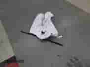 2017 Toyota Camry XLE с VIN 4T1BF1FKXHU398291, выставлен на аукционе Copart как лот 89795675 с пробегом 132 924 миль миль и Списание • Salvage title. История ставок и продаж доступна на DreamBid. Изображение 12.