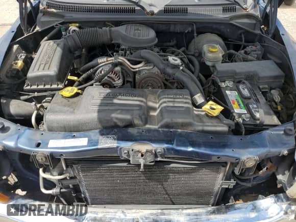 2001 Dodge Dakota with VIN 1B7GG22X01S138045, listed as a Copart auction lot 56965635 with 232,882 mi miles and Clean title. Bid and sale history available at DreamBid. Image 11.