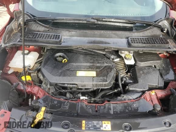 2014 Ford Escape SE с VIN 1FMCU0GXXEUB93337, выставлен на аукционе Copart как лот 82523015 с пробегом 142 166 миль миль и Чистый • Clean title. История ставок и продаж доступна на DreamBid. Изображение 12.
