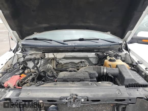 2011 Ford F-150 XL с VIN 1FTFW1EF9BKD20209, выставлен на аукционе Copart как лот 65275435 с пробегом 283 058 миль миль и Списание • Salvage title. История ставок и продаж доступна на DreamBid. Изображение 11.