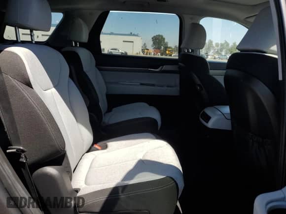 2020 Hyundai Palisade SEL с VIN KM8R2DHE1LU070446, выставлен на аукционе Copart как лот 68046625 с пробегом 135 033 миль миль и Списание • Salvage title. История ставок и продаж доступна на DreamBid. Изображение 11.