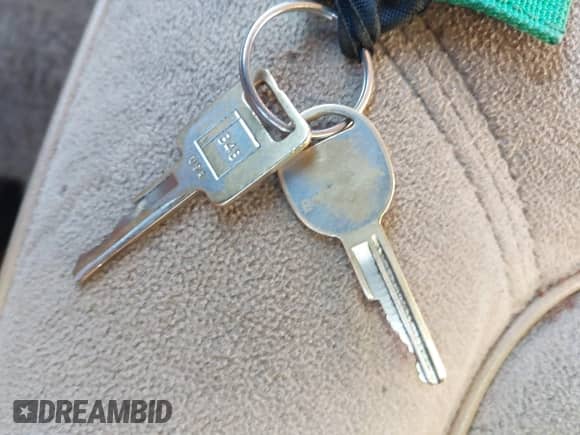 1986 Chevrolet Caprice с VIN 1G1BN69H7G9132578, выставлен на аукционе IAAI как лот 43501999 с пробегом 52 123 миль миль и . История ставок и продаж доступна на DreamBid. Изображение 11.