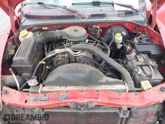 1998 Dodge Dakota SLT z VIN 1B7FL26X9WS660035, wystawiony jako IAAI lot #42450670 z przebiegiem 223 567 mil mil oraz . Historia ofert i sprzedaży dostępna na DreamBid. Obrazek 10.
