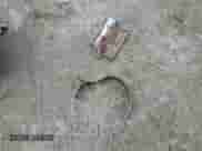 2006 Mercedes-Benz C 280 Luxury с VIN WDBRF54H56A871433, выставлен на аукционе Copart как лот 57302905 с пробегом 127 105 миль миль и Списание • Salvage title. История ставок и продаж доступна на DreamBid. Изображение 12.