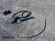 2017 Nissan Sentra SR с VIN 3N1AB7AP8HY374377, выставлен на аукционе IAAI как лот 43248334 с пробегом 58 528 миль миль и . История ставок и продаж доступна на DreamBid. Изображение 12.