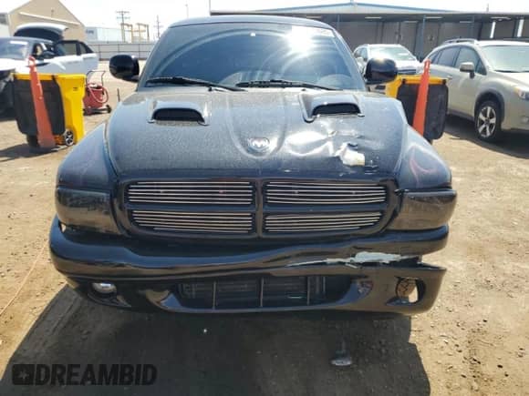 1999 Dodge Dakota SLT with VIN 1B7GL26Z9XS278840, listed as a Copart auction lot 65640885 with 62,454 mi miles and Salvage title. Bid and sale history available at DreamBid. Image 5.