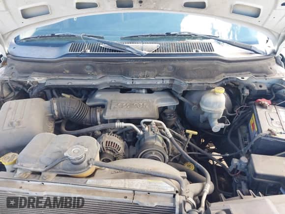 2003 Dodge 1500 ST z VIN 1D7HA18DX3J583713, wystawiony jako IAAI lot #43450596 z przebiegiem 302 554 mil mil oraz . Historia ofert i sprzedaży dostępna na DreamBid. Obrazek 10.