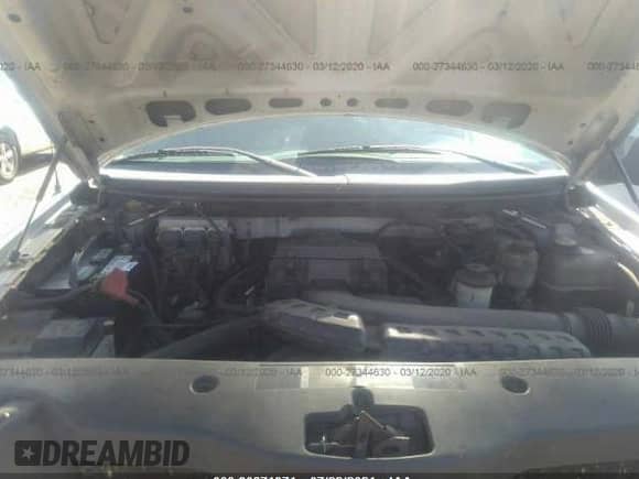 2005 Ford F-150 XLT with VIN 1FTPX145X5FB04425, listed as a IAAI auction lot 30871371 with 338,425 mi miles and . Bid and sale history available at DreamBid. Image 9.