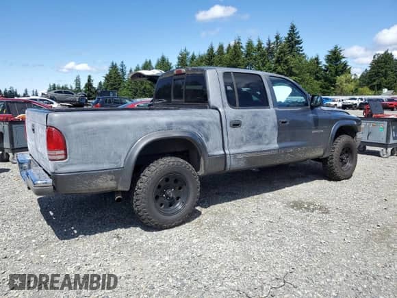 2002 Dodge Dakota SLT with VIN 1B7HG48N02S548464, listed as a Copart auction lot 58943135 with 239,081 mi miles and Salvage title. Bid and sale history available at DreamBid. Image 3.