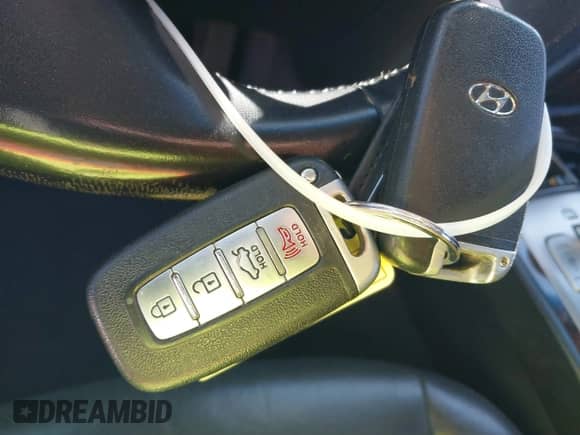 2010 Hyundai Genesis with VIN KMHGC4DF5AU106042, listed as a IAAI auction lot 41871529 with 296,307 mi miles and . Bid and sale history available at DreamBid. Image 11.