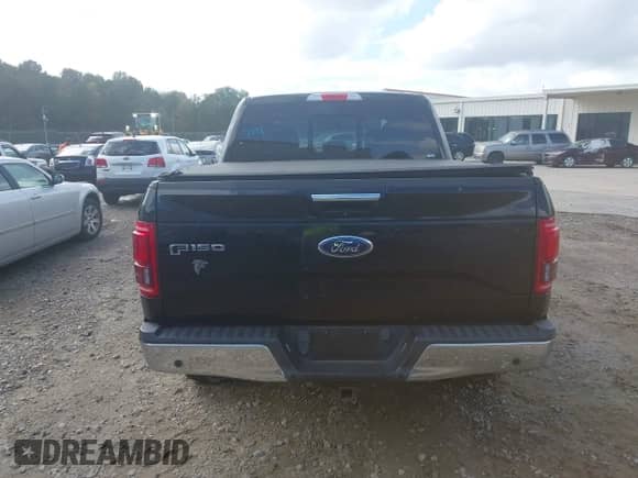 2017 Ford F-150 XL z VIN 1FTEW1EG2HFA48463, wystawiony jako IAAI lot #43402501 z przebiegiem 186 120 mil mil oraz . Historia ofert i sprzedaży dostępna na DreamBid. Obrazek 16.