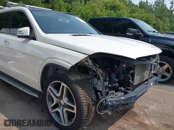 2017 Mercedes-Benz GLS 550 with VIN 4JGDF7DE4HA879647, listed as a IAAI auction lot 39999023 with 97,372 mi miles and . Bid and sale history available at DreamBid. Image 18.