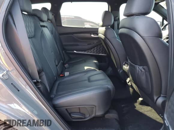 2021 Hyundai Santa Fe Calligraphy with VIN 5NMS5DAL2MH356272, listed as a Copart auction lot 49246385 with 33,528 mi miles and Salvage title. Bid and sale history available at DreamBid. Image 11.