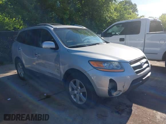 2009 Hyundai Santa Fe SE с VIN 5NMSH13E39H286132, выставлен на аукционе IAAI как лот 42306022 с пробегом 133 255 миль миль и . История ставок и продаж доступна на DreamBid. Изображение 1.