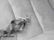 2013 Hyundai Elantra Limited with VIN 5NPDH4AE9DH366057, listed as a IAAI auction lot 43537305 with 198,755 mi miles and . Bid and sale history available at DreamBid. Image 11.