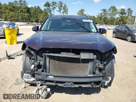 2020 Hyundai Palisade SEL with VIN KM8R44HE8LU034702, listed as a Copart auction lot 87097355 with Not provided miles and Clean title. Bid and sale history available at DreamBid. Image 5.
