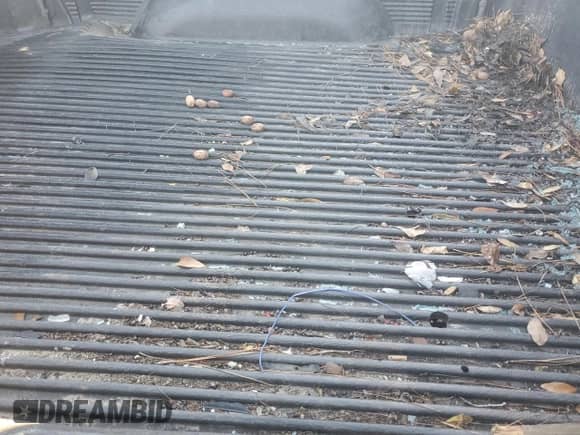 2003 Dodge 1500 ST with VIN 1D7HA16D73J666258, listed as a Copart auction lot 88913815 with 188,452 mi miles and Salvage title. Bid and sale history available at DreamBid. Image 10.