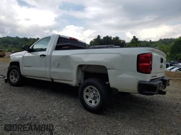 2018 Chevrolet Silverado 1500 Work Truck with VIN 1GCNCNEH0JZ180828, listed as a Copart auction lot 66720435 with 170,681 mi miles and Salvage title. Bid and sale history available at DreamBid. Image 2.
