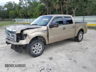 2013 Ford F-150 XL z VIN 1FTFW1CT4DFD31218, wystawiony jako Copart lot #85095905 z przebiegiem 175 982 mil mil oraz Czysty tytuł • Clean title. Historia ofert i sprzedaży dostępna na DreamBid. Obrazek 1.