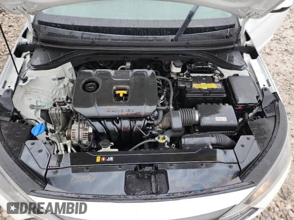 2019 Hyundai Elantra SE z VIN 5NPD74LF8KH425685, wystawiony jako Copart lot #86409965 z przebiegiem 141 666 mil mil oraz Czysty tytuł • Clean title. Historia ofert i sprzedaży dostępna na DreamBid. Obrazek 11.