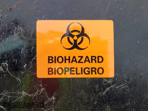 2022 Volkswagen Tiguan SE R-Line Black с VIN 3VV8B7AX8NM006023, выставлен на аукционе IAAI как лот 42258466 с пробегом Не указан миль и . История ставок и продаж доступна на DreamBid. Изображение 10.