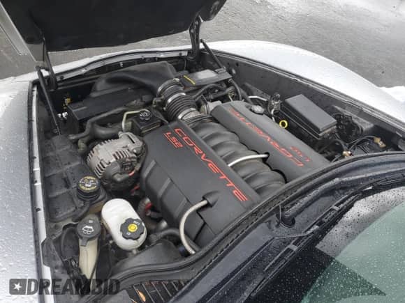 2005 Chevrolet Corvette с VIN 1G1YY34U655114646, выставлен на аукционе Copart как лот 51330415 с пробегом 34 154 миль миль и Чистый • Clean title. История ставок и продаж доступна на DreamBid. Изображение 11.