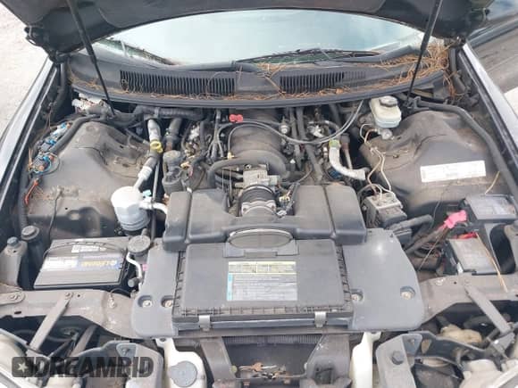 1998 Chevrolet Camaro Z28 z VIN 2G1FP22G2W2131930, wystawiony jako IAAI lot #41588098 z przebiegiem 24 866 mil mil oraz . Historia ofert i sprzedaży dostępna na DreamBid. Obrazek 10.