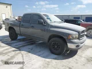 2002 Dodge 1500 z VIN 1D7HA18Z32J266849, wystawiony jako Copart lot #70797894 z przebiegiem 208 252 mil mil oraz Szkoda całkowita • Salvage title. Historia ofert i sprzedaży dostępna na DreamBid. Obrazek 4.
