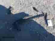 2025 Hyundai Elantra с VIN KMHLW4DK8SU023967, выставлен на аукционе IAAI как лот 42813414 с пробегом 8 349 миль миль и . История ставок и продаж доступна на DreamBid. Изображение 12.