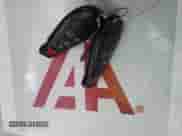 2009 Dodge Challenger R/T z VIN 2B3LJ54T19H633693, wystawiony jako IAAI lot #43471926 z przebiegiem 160 938 mil mil oraz . Historia ofert i sprzedaży dostępna na DreamBid. Obrazek 11.