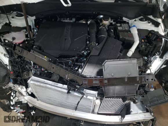 2025 Hyundai Santa Fe XRT с VIN 5NMP3DGL1SH088802, выставлен на аукционе Copart как лот 84831424 с пробегом 976 миль миль и Списание • Salvage title. История ставок и продаж доступна на DreamBid. Изображение 12.