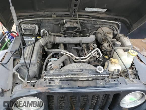 2002 Jeep Wrangler Sahara с VIN 1J4FA59S42P776905, выставлен на аукционе Copart как лот 53373015 с пробегом 231 915 миль миль и Чистый • Clean title. История ставок и продаж доступна на DreamBid. Изображение 11.