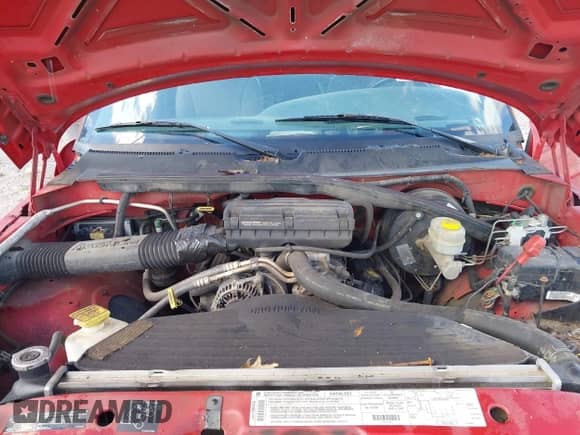 1998 Dodge 1500 with VIN 1B7HC16YXWS769129, listed as a IAAI auction lot 43357298 with 144,571 mi miles and . Bid and sale history available at DreamBid. Image 10.