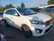 2016 Kia Sorento SXL z VIN 5XYPKDA57GG146717, wystawiony jako IAAI lot #43018518 z przebiegiem 180 078 mil mil oraz . Historia ofert i sprzedaży dostępna na DreamBid. Obrazek 13.
