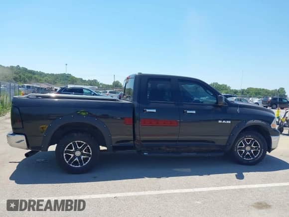 2010 Dodge 1500 SLT with VIN 1D7RV1GP3AS234338, listed as a IAAI auction lot 42862287 with 195,432 mi miles and . Bid and sale history available at DreamBid. Image 13.