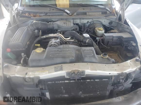 2002 Dodge Dakota с VIN 1B7GL12X32S566683, выставлен на аукционе Copart как лот 56896145 с пробегом 229 321 миль миль и Списание • Salvage title. История ставок и продаж доступна на DreamBid. Изображение 11.