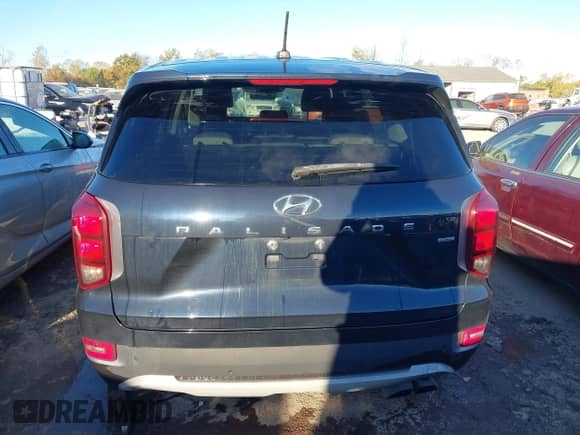 2020 Hyundai Palisade SE с VIN KM8R1DHE4LU145918, выставлен на аукционе IAAI как лот 43446096 с пробегом 131 435 миль миль и . История ставок и продаж доступна на DreamBid. Изображение 17.