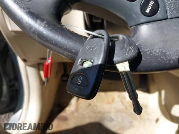 2007 Hyundai Santa Fe GLS z VIN 5NMSG73D17H034812, wystawiony jako IAAI lot #43472040 z przebiegiem 229 218 mil mil oraz . Historia ofert i sprzedaży dostępna na DreamBid. Obrazek 11.