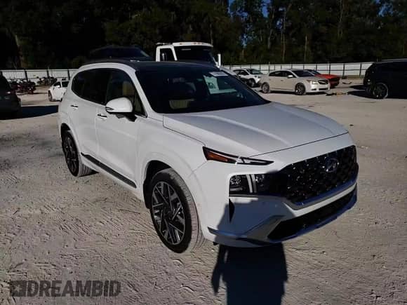 2022 Hyundai Santa Fe Calligraphy with VIN 5NMS54AL2NH422370, listed as a Copart auction lot 71980322 with 11,053 mi miles and . Bid and sale history available at DreamBid. Image 12.