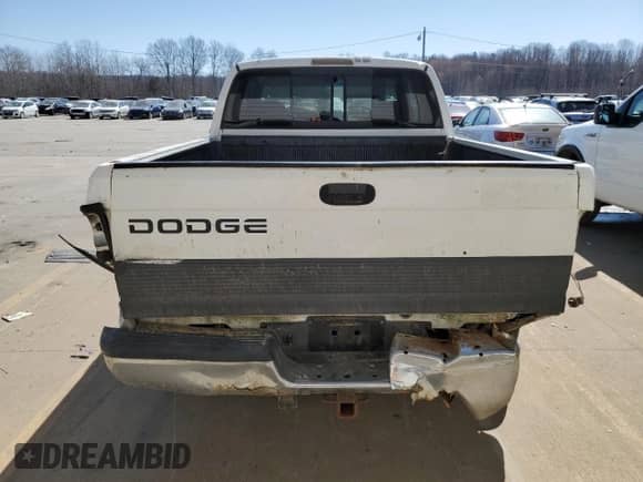 1998 Dodge 1500 с VIN 1B7HC13Z7WJ126885, выставлен на аукционе Copart как лот 48674135 с пробегом 264 080 миль миль и Списание • Salvage title. История ставок и продаж доступна на DreamBid. Изображение 6.