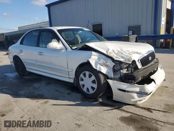 2003 Hyundai Sonata with VIN KMHWF25H33A907483, listed as a Copart auction lot 46174975 with 242,824 mi miles and Salvage title. Bid and sale history available at DreamBid. Image 4.